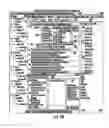 Fig. 19 - SYSTEM AND METHOD OF PEER TO PEER SEARCHING, SHARING, SOCIAL NETWORKING AND COMMUNICATION IN ONE OR MORE NETWORKS