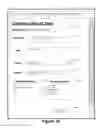 Fig. 19 - Customization of Display Templates