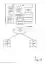 Fig. 02 - Framework for custom actions on an information feed