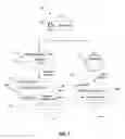 Fig. 02 - REPRESENTING DATA THROUGH A GRAPHICAL OBJECT
