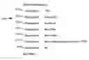 Fig. 01 - Universal programming system and method for electronic programming guide