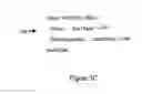 Fig. 04 - Universal programming system and method for electronic programming guide
