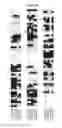 Fig. 07 - METHOD FOR THE PRODUCTION OF TRANSGENIC PLANTS HAVING HIGH STARCH AND BIOMASS CONTENT AND YIELD