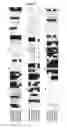 Fig. 08 - METHOD FOR THE PRODUCTION OF TRANSGENIC PLANTS HAVING HIGH STARCH AND BIOMASS CONTENT AND YIELD