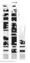Fig. 09 - METHOD FOR THE PRODUCTION OF TRANSGENIC PLANTS HAVING HIGH STARCH AND BIOMASS CONTENT AND YIELD
