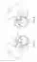 Fig. 08 - PRESS RELEASE BUCKLE