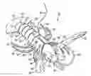 Fig. 01 - Crawfish fishing lure