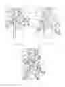 Fig. 34 - Extendable/retractable support column
