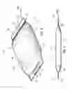 Fig. 04 - Multi-handled sealed bag