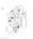 Fig. 02 - Pedal-cleat assembly