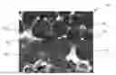 Fig. 01 - Nanomatrix powder metal composite