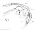 Fig. 19 - Safety switch for citrus press