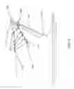 Fig. 16 - Watercraft immobilizing apparatus and system