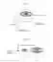 Fig. 09 - Seed crystal axis for solution growth of single crystal