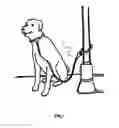 Fig. 02 - Locking pet lead system comprising a leash and collar to prevent the theft of pets