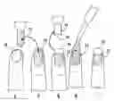 Fig. 01 - Method and apparatus for enhancing UV gel nail application
