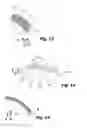 Fig. 09 - APPLICATOR WITH APPLICATION FROM THE FRONT