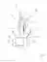Fig. 02 - Combination dishwashing machine and sink