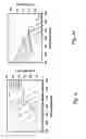 Fig. 03 - QUANTUM DOT SENSITIZED SOLAR CELL