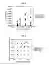Fig. 06 - Manufacturing method of grain-oriented electrical steel sheet
