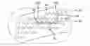 Fig. 01 - Winter tire tread siping pattern