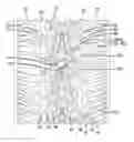 Fig. 01 - Winter tire center tread pattern