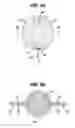 Fig. 07 - INTRAVAGINAL DEVICE WITH FLUID TRANSPORT PLATES AND METHODS OF MAKING