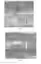 Fig. 04 - Window Treatment With Spatially Varied Transparency