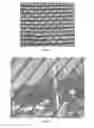 Fig. 05 - Window Treatment With Spatially Varied Transparency