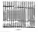 Fig. 08 - Window Treatment With Spatially Varied Transparency