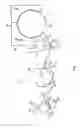 Fig. 02 - Apparatus with an impermeable transfer belt in a papermaking machine, and associated methods