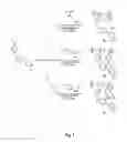 Fig. 02 - Viscous wellbore fluids