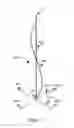Fig. 02 - Fire extinguishing apparatus