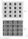 Fig. 06 - Magnetically actuated micro-electro-mechanical capacitor switches in laminate