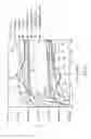 Fig. 09 - Protein-immobilized electrode and method of manufacturing the same, and functional element and method of manufacturing the same