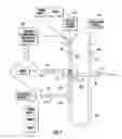 Fig. 08 - Multi-task immunoaffinity device secured to a peripheral box and integrated to a capillary electrophoresis apparatus
