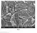 Fig. 07 - ELECTRODE FOR ELECTROLYTIC CHLORINE PRODUCTION