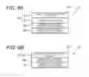 Fig. 06 - Detection device for detecting a test substance