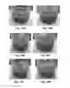 Fig. 12 - PARTICULATE CERIUM DIOXIDE AND AN IN SITU METHOD FOR MAKING AND USING THE SAME