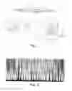 Fig. 02 - SYSTEM AND METHOD FOR MINIMIZING FORMATION OF STRIATION PATTERNS IN LASER CUTTING