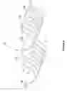 Fig. 06 -  CONTAINER WARMER APPARATUS