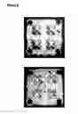 Fig. 07 - BIODEGRADABLE BUBBLE-SHAPED WRAP AND VOID FILL BRACES