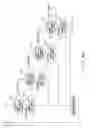 Fig. 10 - Paper sheet receiving/dispensing apparatus