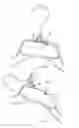 Fig. 03 - Clothes hanger with fold-away hook
