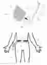 Fig. 02 - DEVICE AND METHOD FOR CARRYING A DRYWALL KNIFE