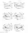 Fig. 05 - Sectional Documents Comprising a Structure Equipped with a Watermark or Pseudo-Watermark and Associated Process
