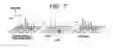 Fig. 08 - CHARGED PARTICLE BEAM MICROSCOPE AND MEASURING METHOD USING SAME