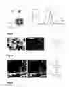 Fig. 03 - Fluorescence light scanning microscope having a birefringent chromatic beam shaping device