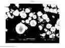 Fig. 02 - Non-homogenous positive electrode materials combining high safety and high power in a Li rechargeable battery