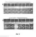 Fig. 07 - Materials and methods for the preparation of nanocomposites